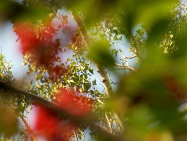 Фото Выходные порадуют теплом