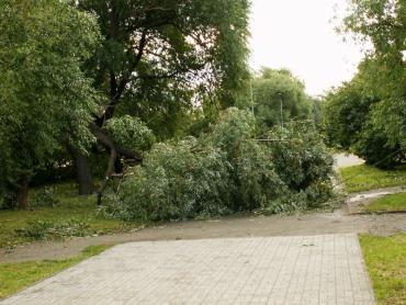 Фото Субботний дождь причинил ущерб
