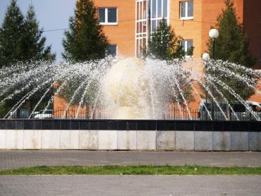 Фото Сегодня день Луппа-брусничника