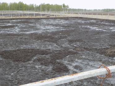 Фото Челябинский эколог: В загрязнении питьевой воды навозом «Ариант», возможно, не виноват, но мы будем продолжать проверки