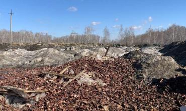 Фото  Несанкционированной свалкой рядом с поселком Смолино займется Россельхознадзор