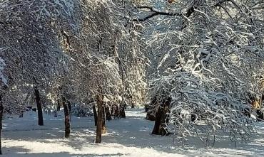 Фото В Челябинской области 11 января – мороз, местами ночью до минус 38