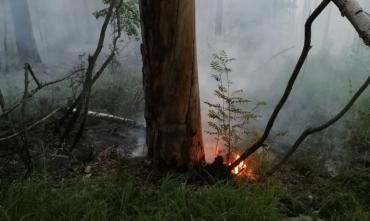 Фото На подступах к Таганаю горит лес