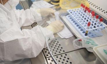 Фото Эксперт ВОЗ рассказал о вероятности утечки ковида из лаборатории в Ухане