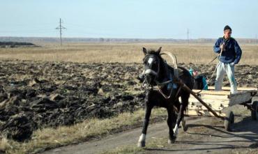 Фото Представитель администрации Чебаркульского района прокомментировала жалобы селян