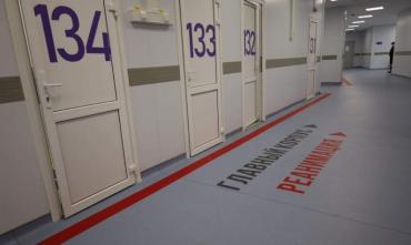 Фото В Челябинской области новый антирекорд по суточному приросту ковидных больных