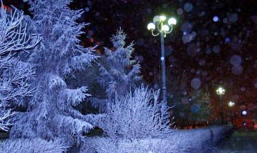 Фото В самую длинную ночь года можно наблюдать звездопад из созвездия Малая Медведица