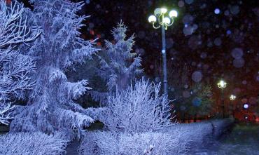 Фото В ночь с третьего на четвертое января прольется первый новогодний звездопад