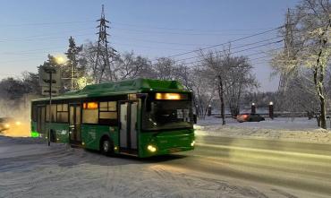 Фото В Челябинске в сильные морозы на линию пытаются вывести максимальное количество транспорта
