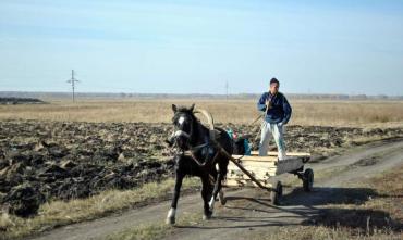 Фото В Челябинской области дополнительно поддержали сельхозтоваропроизводителей