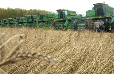 Фото Урожайность зерновых в Челябинской области превзошла ожидания