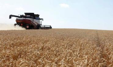 Фото В Челябинской области набирает темпы уборка зерна