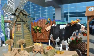 Фото В Челябинске открылась главная сельскохозяйственная выставка региона «Агро-2021»