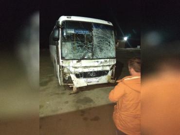 Фото Пассажирский автобус, следовавший по маршруту «Магнитогорск –Челябинск» столкнулся с лошадью