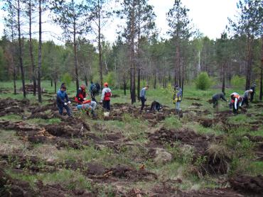 Фото Александр Корбут: В Челябинске силами горожан посажено рекордное количество деревьев