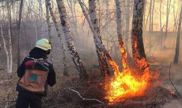 Фото В Челябинской области огонь уничтожил 200 гектаров леса