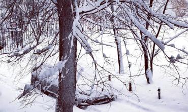 Фото Активный циклон засыпает снегом Челябинскую область