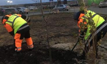 Фото В Челябинске при благоустройстве территории у Кафедрального собора снесут 223 дерева и посадят новые