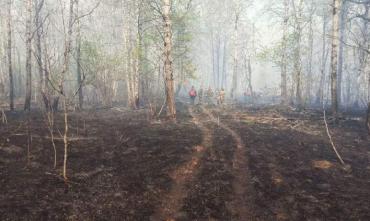 Фото Пожар в нацпарке «Зигальга» локализован, осталось справиться с двумя очагами тления
