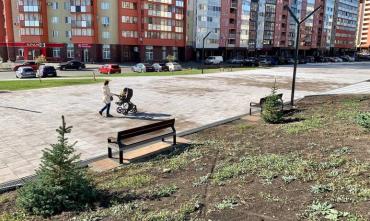 Фото Новую пешеходную зону в Калининском районе Челябинска украсят серебристые ели