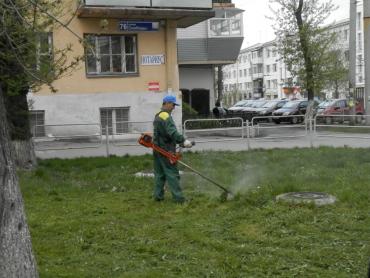 Фото Челябинские газоны будут засевать уральской травой, чтобы были зелеными