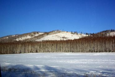 Фото В День защитника Отечества ветрено и сыро
