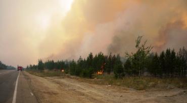 Фото В восточных районах Челябинской области сохраняется высокая пожарная опасность