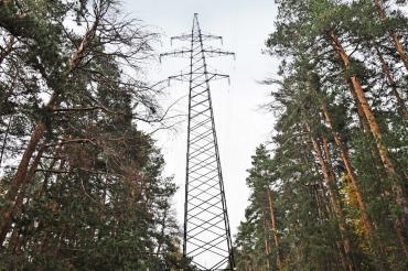Фото Энергетики объяснили, почему в городском бору Челябинска будут обрезать деревья