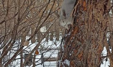 Фото В понедельник в Челябинской области местами мокрый снег с дождем