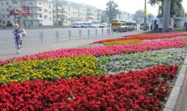 Фото Глава Челябинска поручила рассказать жителям, какие цветы украшают городские клумбы