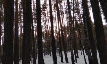 Фото В понедельник в Челябинской области – без осадков