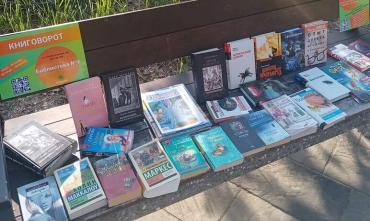 Фото Книжный пикник в Челябинске помог книгам «найти новый дом»