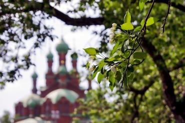 Фото В среду в Челябинской области прохладно,  небольшие дожди