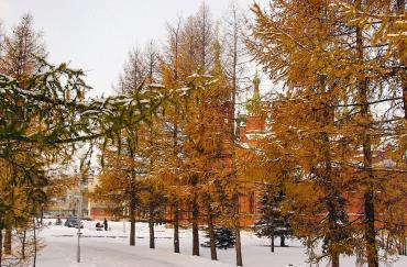 Фото В среду в Челябинской области будет тепло и облачно