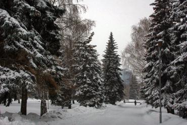 Фото В ночь на среду в Челябинской области ожидаются сильные морозы