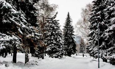 Фото Во вторник в Челябинской области небольшой снег