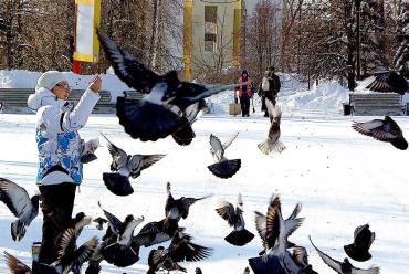 Фото В четверг в Челябинской области небольшой снег