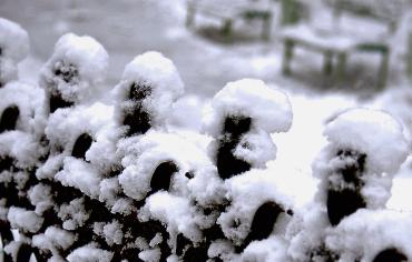 Фото В Челябинской области небольшой снег