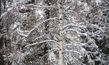 Фото На Сретение в Челябинской области местами снег