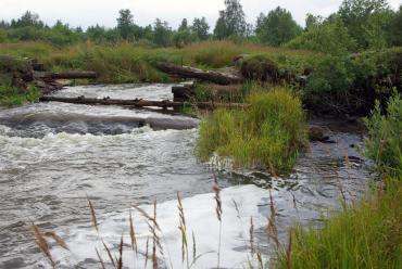 Фото Водоканал Верхнего Уфалея загрязнял речку сточными водами