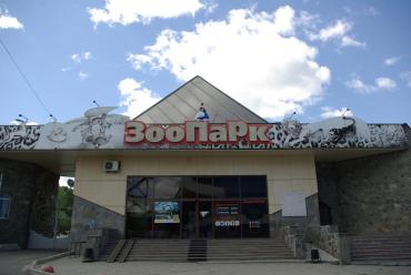 Фото Моя жена - хамелеон: в челябинском зоопарке подвели итоги необычного конкурса