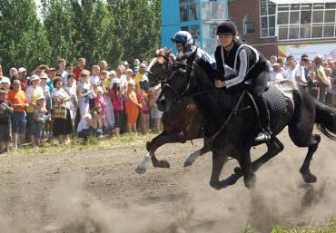 Фото Профилактику болезней, передающихся от животных к человеку, обсуждают в Челябинске медики и ветеринары