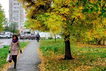 Фото В среду в Челябинской области будет сыро и прохладно