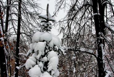 Фото В среду в Челябинской области снег, слабые метели