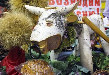 Фото В Чебаркульском районе от бешенства умер бык 