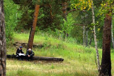 Фото В Челябинской области восстановят почти 3,5 тысячи гектаров леса