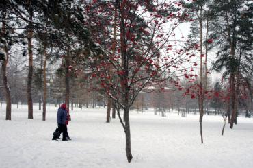 Фото В Челябинской области сохранятся ночные морозы на фоне высокого давления