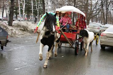 Фото Выходные в Челябинской области будут теплыми, небольшой снег