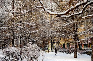 Фото В Челябинской области морозно, местами снег