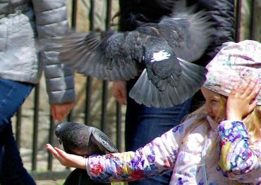 Фото Понедельник в Челябинской области холодный, в горах - снег